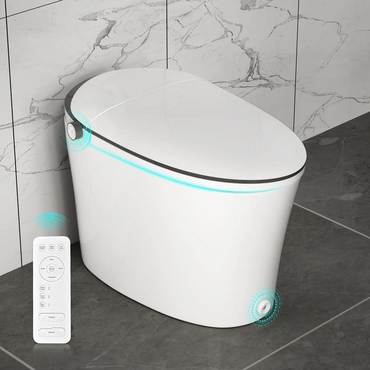 DEERVALLEY Smart Toilet & Bidet Combo with Remote and Auto Flush