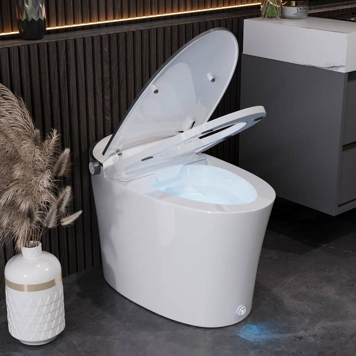 DEERVALLEY 1.28 GPF Smart Toilet Bidet with Heated Seat & UV Sterilization