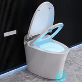 DEERVALLEY 1.28 GPF Elongated Smart Toilet Bidet with Auto Features and UV Sterilization