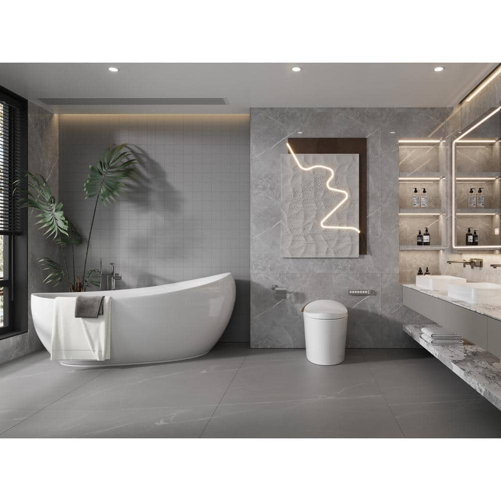 DEERVALLEY Tankless Smart Toilet Bidet with Auto Flush and Warm Water Dryer