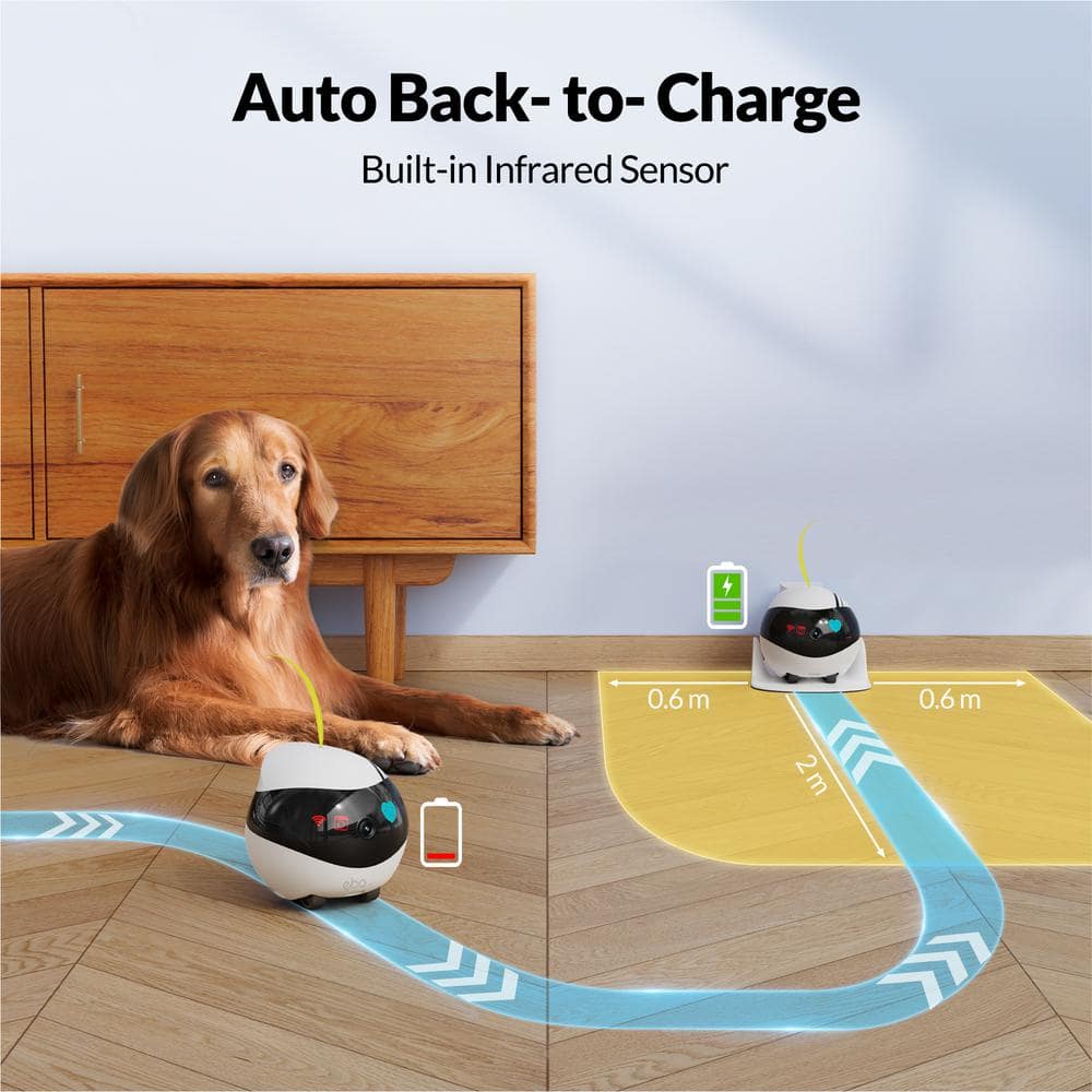 Enabot EBO Air 1080p Full HD Movable Indoor WiFi Camera Robot, 2 Way Voice and Night Vision, Laser Point for Pet Playing