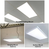 eSenLite 1 ft. x 4 ft. 400W Equivalent 4200LM White Dimmable Color CCT Thin Aluminum Integrated LED Panel Light Troffer (2-PK)