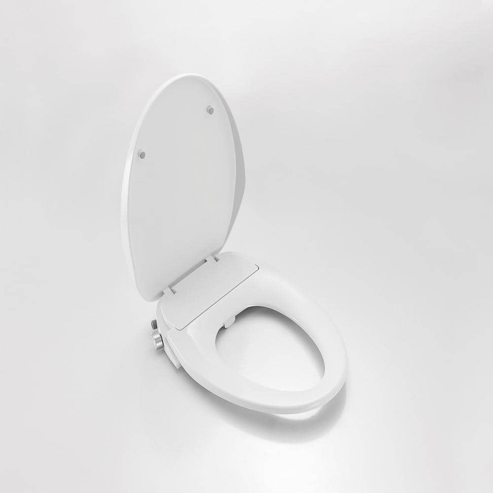 ROSWELL Taranto Quick-Release Elongated Toilet Seat with Bidet in White
