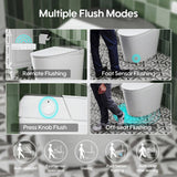 FORCLOVER 12-in-1 Dual Flush Smart Toilet with Heated Seat and Dryer in White