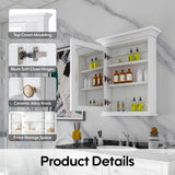 FORCLOVER 24 in. W x 30 in. H Rectangular Surface Mount Solid Wood Medicine Cabinet with Mirror