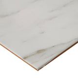 MSI Aspen Gris 18 in. x 18 in. Matte Ceramic Floor and Wall Tile (20.25 sq. ft./Case)
