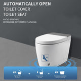 HOMEMYSTIQUE Comfort Height Intelligent 1-Piece Toilet with Auto Features