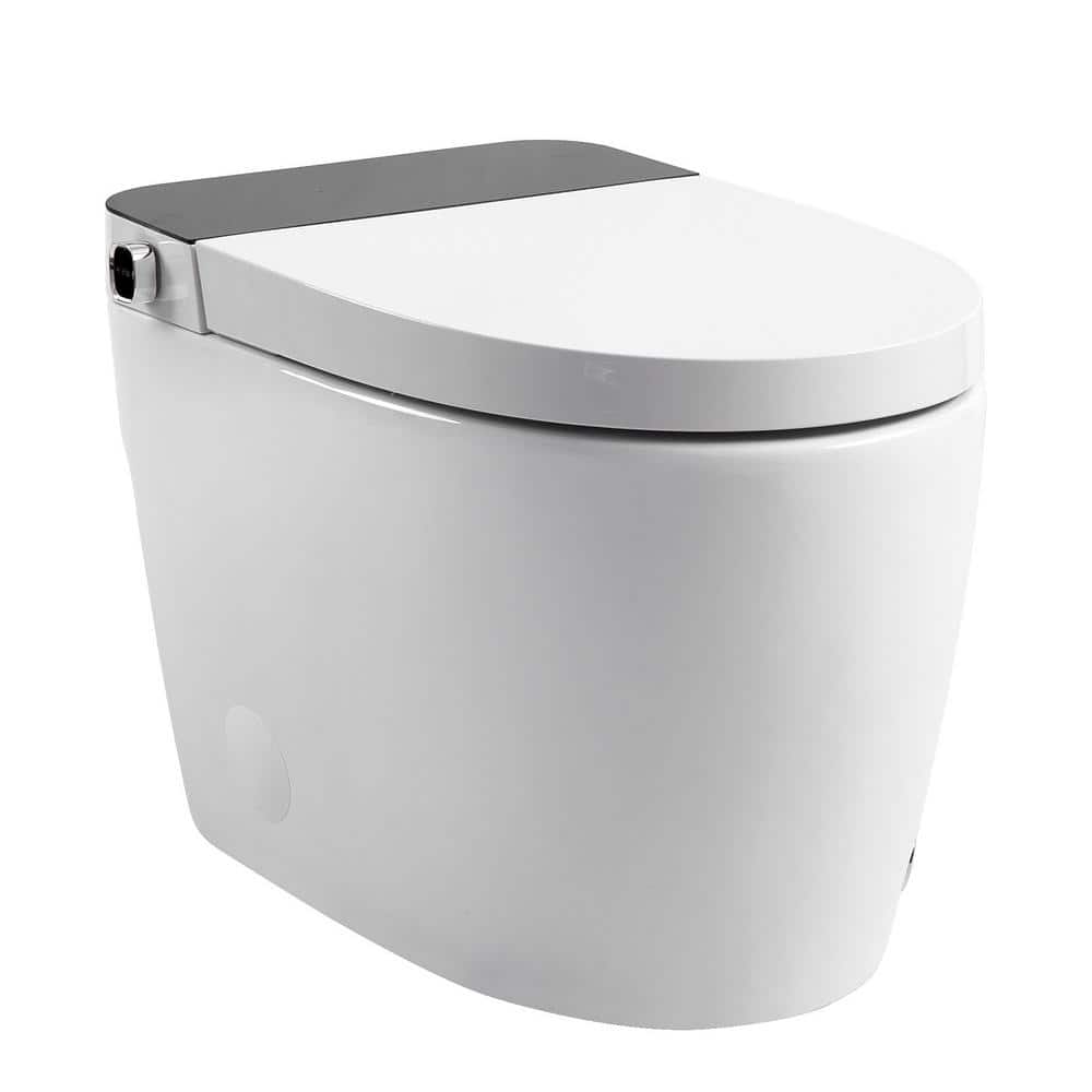 HOMEMYSTIQUE Comfort Height Intelligent 1-Piece Toilet with Auto Features