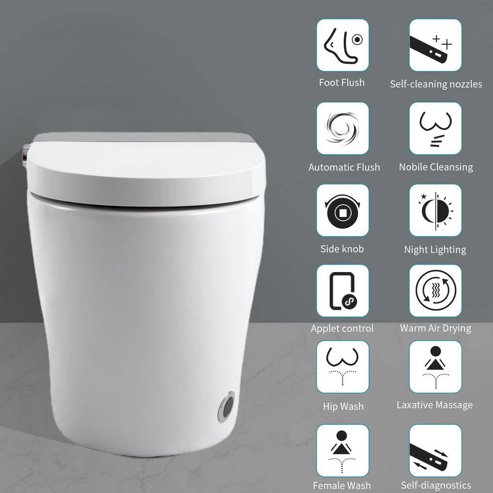 HOMEMYSTIQUE Comfort Height Intelligent 1-Piece Toilet with Auto Features