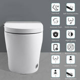 HOMEMYSTIQUE Comfort Height Intelligent 1-Piece Toilet with Auto Features