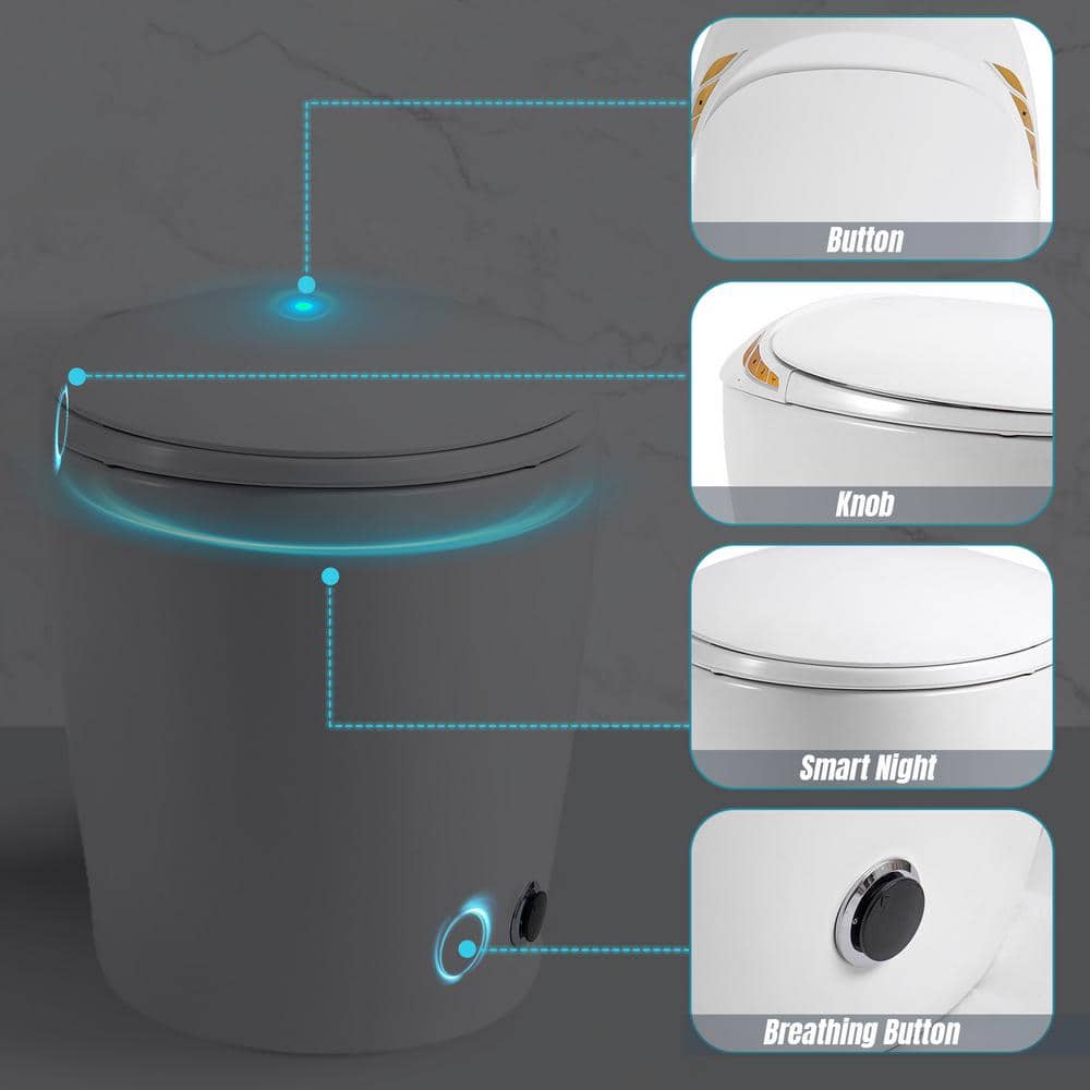 HOMEMYSTIQUE Intelligent Bidet Toilet with Auto Flush, Heated Seat, White