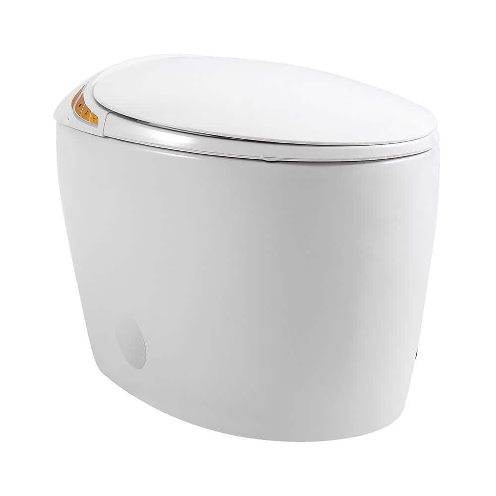 HOMEMYSTIQUE Intelligent Bidet Toilet with Auto Flush, Heated Seat, White