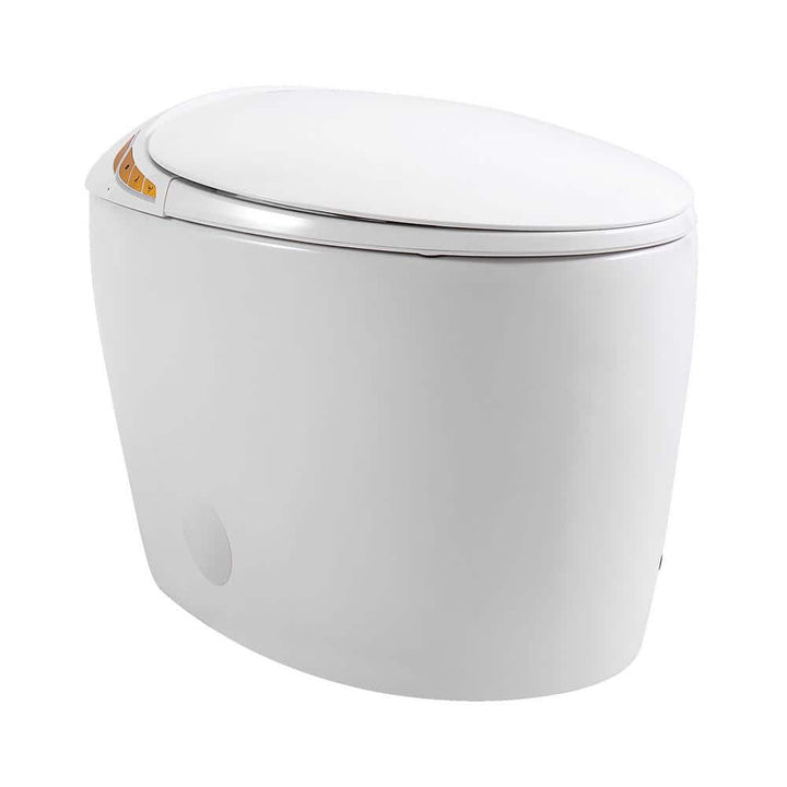 HOMEMYSTIQUE Intelligent Bidet Toilet with Auto Flush, Heated Seat, White