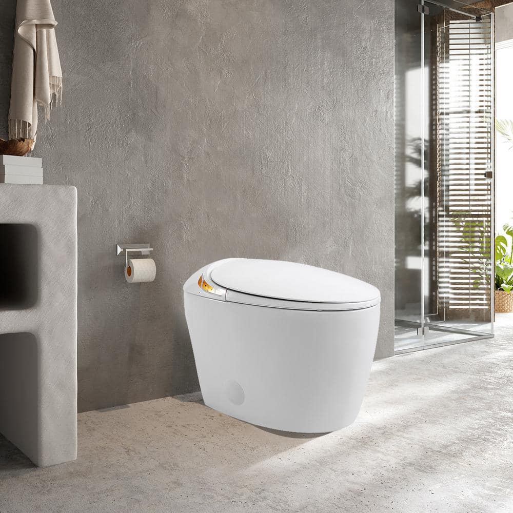 HOMEMYSTIQUE Intelligent Bidet Toilet with Auto Flush, Heated Seat, White