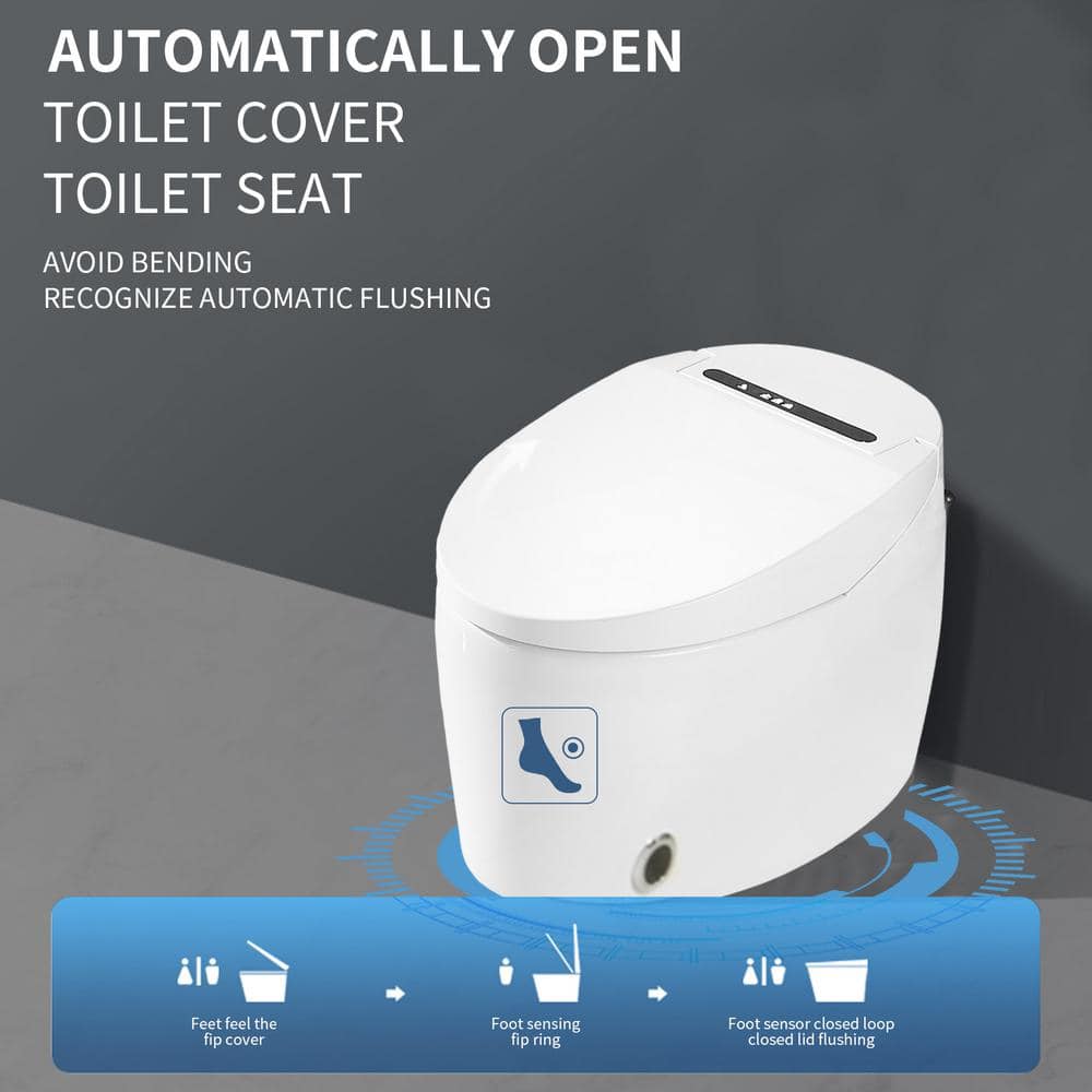 HOMEMYSTIQUE Height Intelligent Toilet Bidet with Auto Flush and Heated Seat