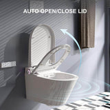 HOROW Wall Hung Elongated Smart Toilet Bidet with Night Light and Heated Seat