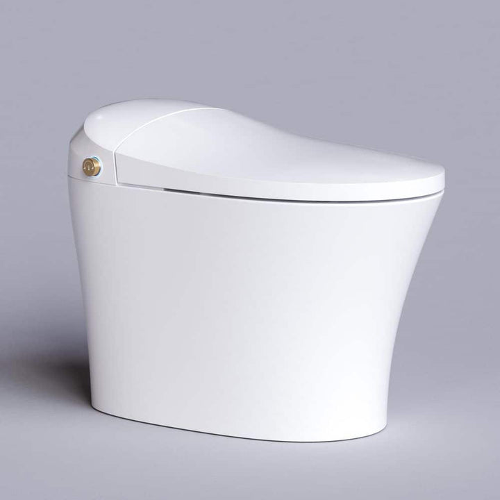 HOROW Smart Toilet Bidet with Remote Control and Deodorization
