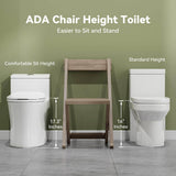 HOROW Chair Height Dual Flush Elongated Toilet with Non-Electric Bidet