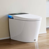 HOROW Elongated Smart Toilet Bidet 1.1 GPF with Built-in Tank, Warm Water, Night Light, Remote - T38D