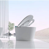 JimsMaison Elongated Bidet Toilet with LED Display, Heated Seat & Dryer