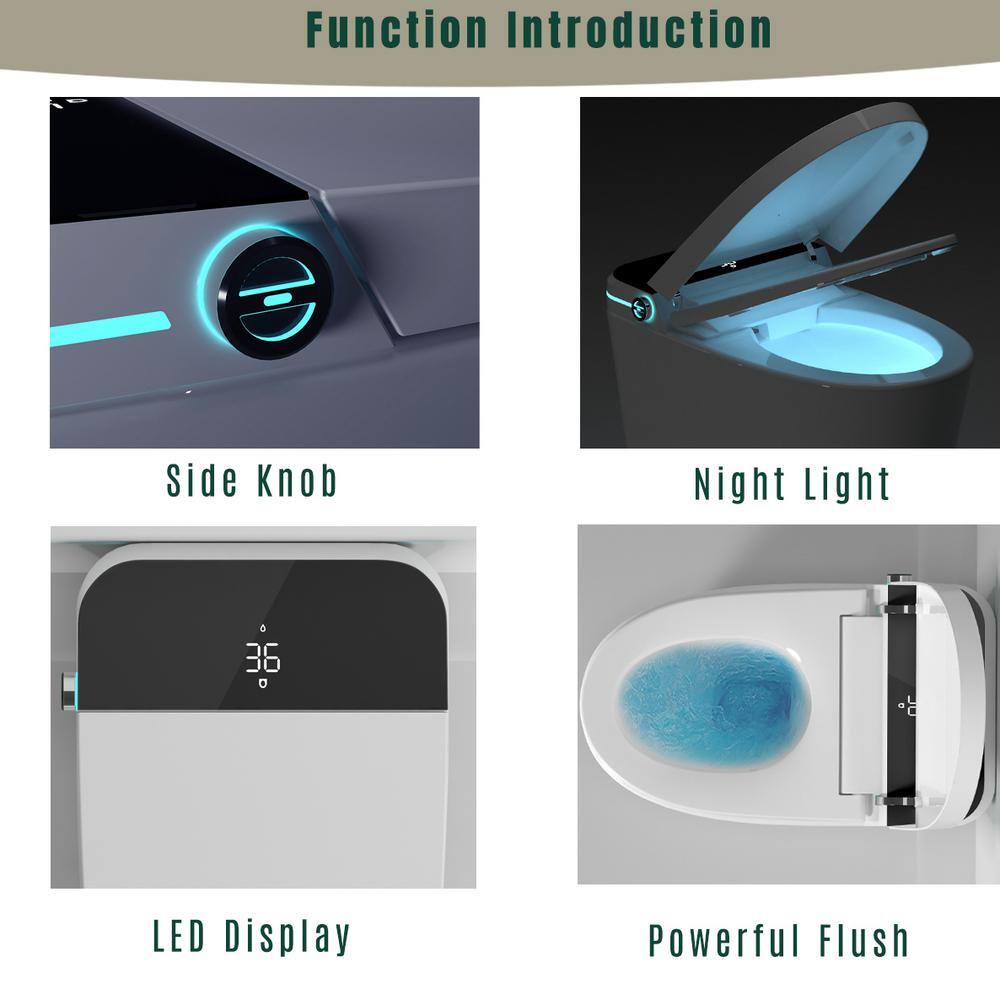 LORDEAR White Smart Elongated Toilet Bidet with Auto Open/Close and LED Display