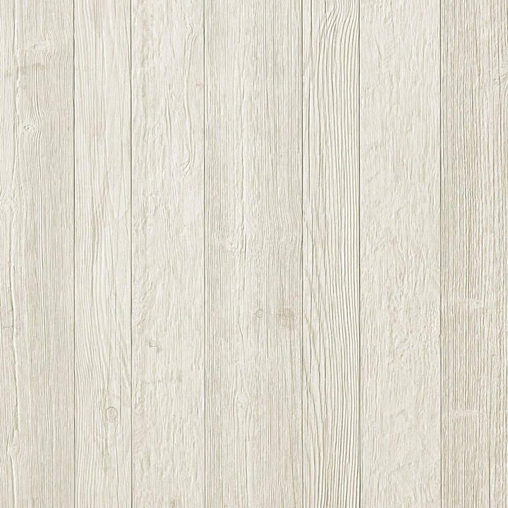 Corso Italia Sample - Foresta White 6 in. x 6 in. x 0.75 in. Wood Look Porcelain Paver