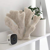 Night Owl 1080p Plug-in Indoor Wireless Security Camera