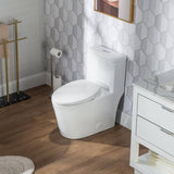 Casta Diva Elongated Bidet Toilet Combo Dual Flush in White