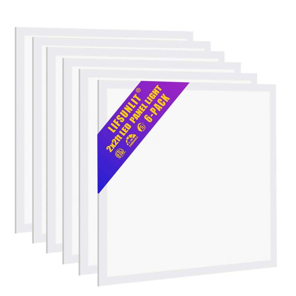Honbei 2 ft. x 2 ft. 5800 LM Integrated LED Panel Light, 5000K 2 x 2 LED Flat Panel Light Recessed Back-Lit for Office (6-Pack)