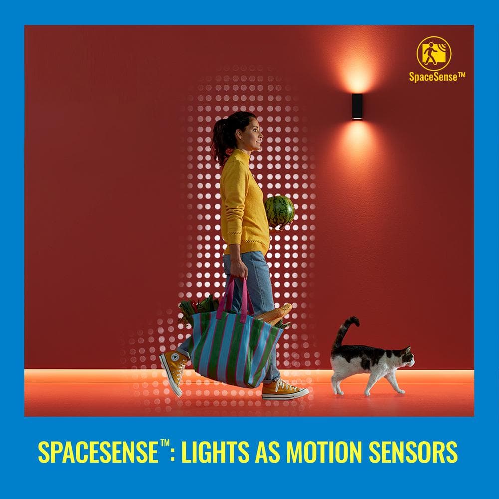 Philips Motion Sensor with Batteries Powered by WiZ (1-Pack)