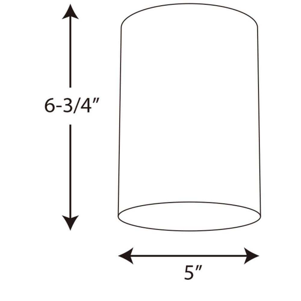Progress Lighting Cylinder Collection 5 in. White Outdoor Flush Mount Ceiling Light, P5774-30