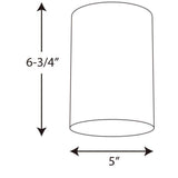 Progress Lighting Cylinder Collection 5 in. White Outdoor Flush Mount Ceiling Light, P5774-30