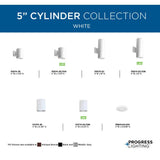 Progress Lighting Cylinder Collection 5 in. White Outdoor Flush Mount Ceiling Light, P5774-30