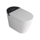 RAINLEX Elongated Bidet Toilet 1.28 GPF in White with Heated, Soft Close RX-T16W