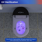 RAINLEX Elongated Bidet Toilet 1.28 GPF in White with Heated, Soft Close RX-T16W