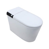 RAINLEX Elongated Smart Bidet Toilet with Heated Seat and Remote Control