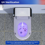 RAINLEX Elongated Smart Bidet Toilet with Heated Seat and Remote Control