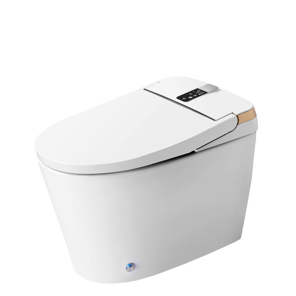 Staykiwi Elongated Bidet Toilet 1.28 GPF in White with Adjustable Sprayer Settings, Deodorizing, Soft Close