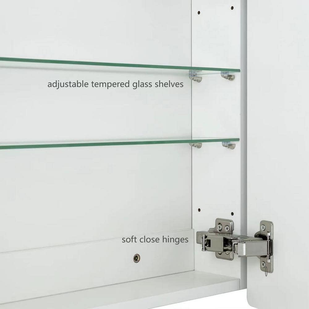 TEHOME Tomace 24 in. W x 30 in. H Rectangular Recess and Surface Mount Frameless Medicine Cabinet with Mirror
