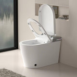 Tenleaf Elongated Smart Bidet Toilet with Heated Seat and Aromatherapy