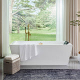 Vanity Art Tarbes 67 in. Acrylic Flatbottom Freestanding Bathtub in White/Titanium Gold