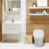 Transolid Rosemary 1-Piece Dual Flush Elongated Smart Toilet Bidet