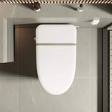 UKISHIRO Elongated Smart Bidet Toilet with Adjustable Sprayer Settings