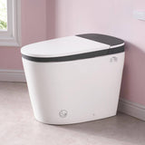 Unbranded 1.6/1.1 GPF ADA Smart Toilet Bidet with Auto Open/Close & UV-C Disinfection