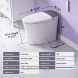 Unbranded Elongated ADA LED Smart Bidet Toilet with Auto Features