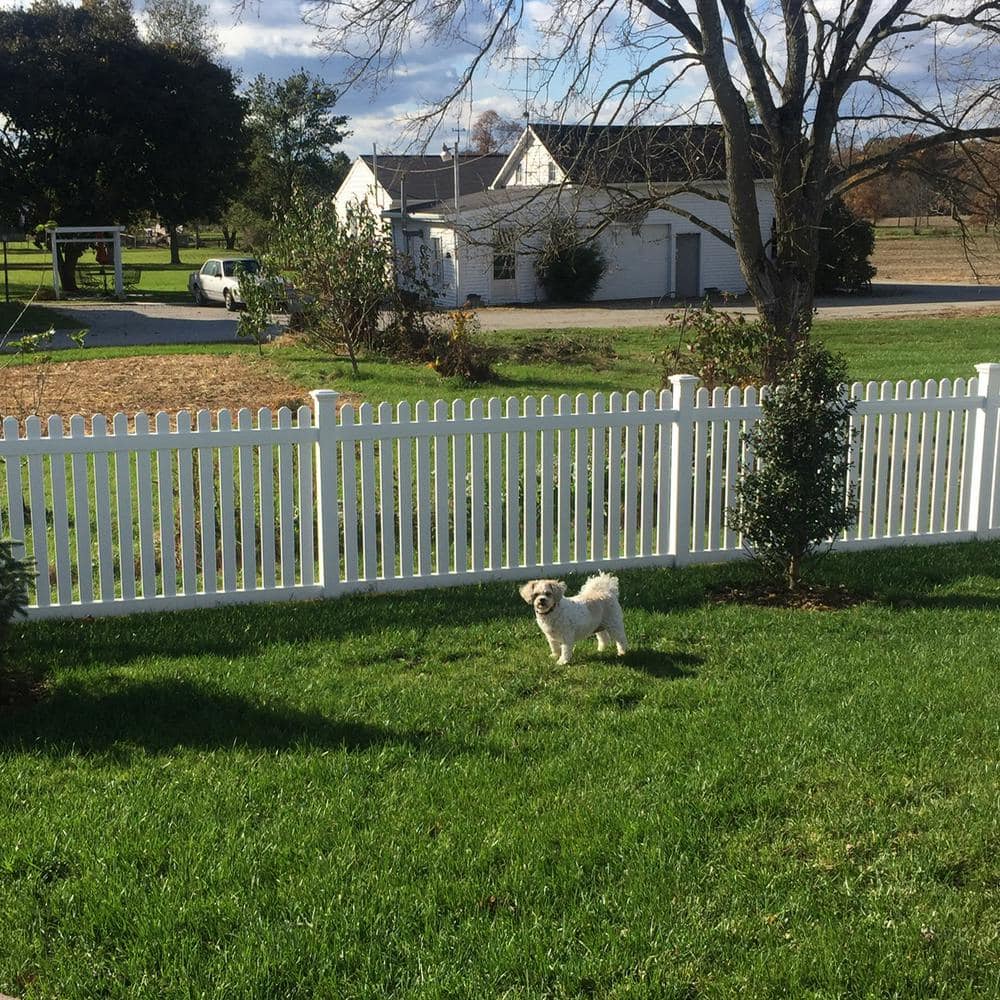 Weatherables Provincetown 3 ft. H x 8 ft. W White Vinyl Picket Fence Panel Kit
