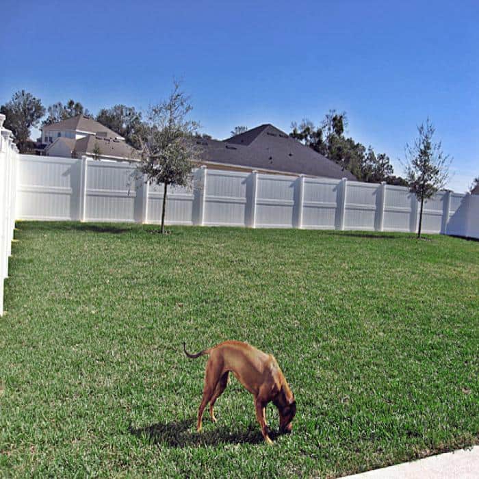 Weatherables Augusta 7 ft. H x 6 ft. W Khaki Vinyl Privacy Fence Panel Kit