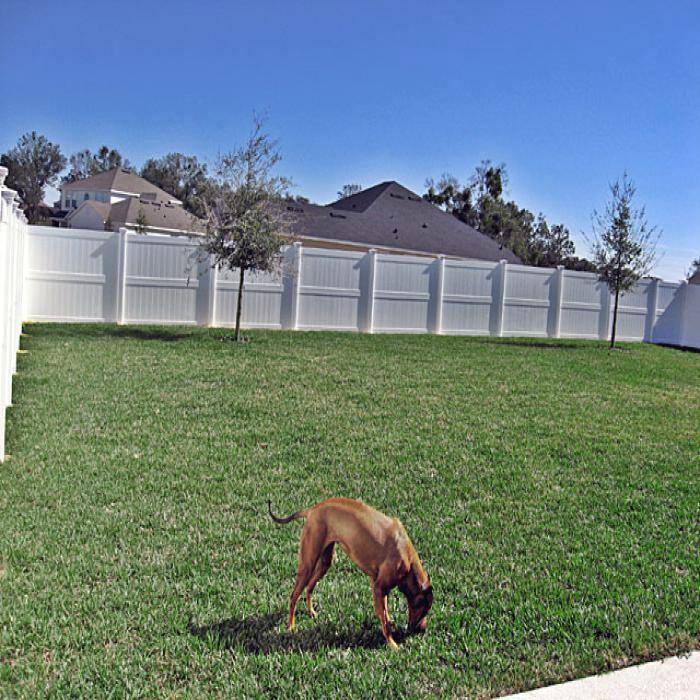 Weatherables Augusta 7 ft. H x 8 ft. W White Vinyl Privacy Fence Panel Kit