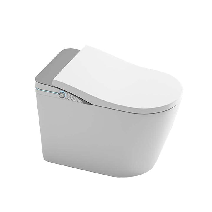 WELLFOR Elongated Smart Bidet Toilet 1.28 GPF with Auto Features and Accessories