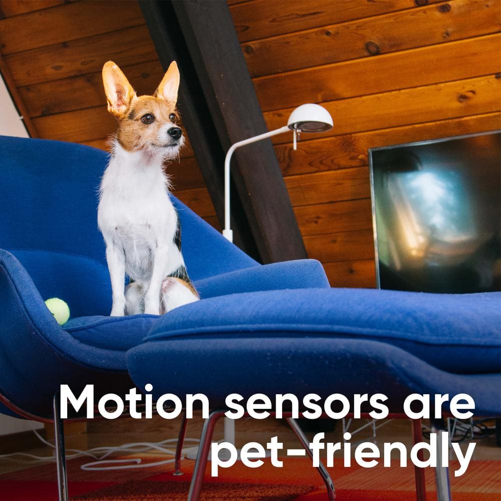 Wyze Wireless Home Security Sensor Kit with Hub, Keypad, Motion, Entry Sensors, and 6 Mo. of 24/7 Professional Monitoring
